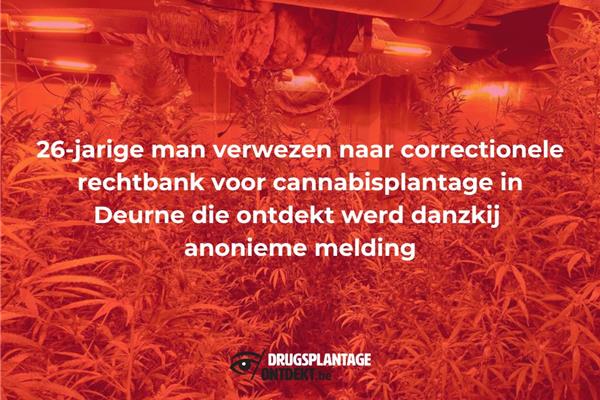 Deurne - Man verwezen naar correctionele rechtbank voor cannabisplantage